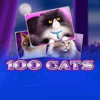 100 Cats icon